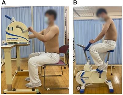 Surface electromyographic activity of the erector spinae and multifidus during arm- and leg-ergometer exercises in young healthy men